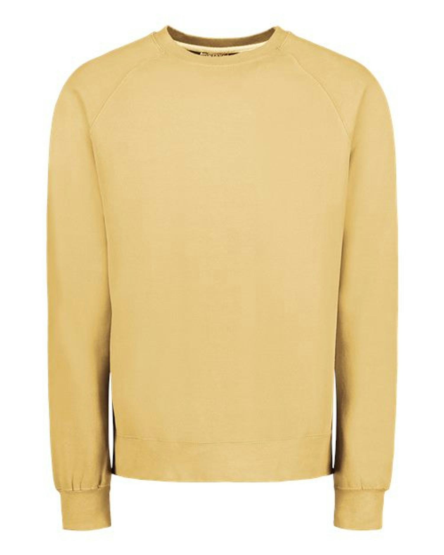 Vintage Fleece Raglan Crewneck Sweatshirt [17116]