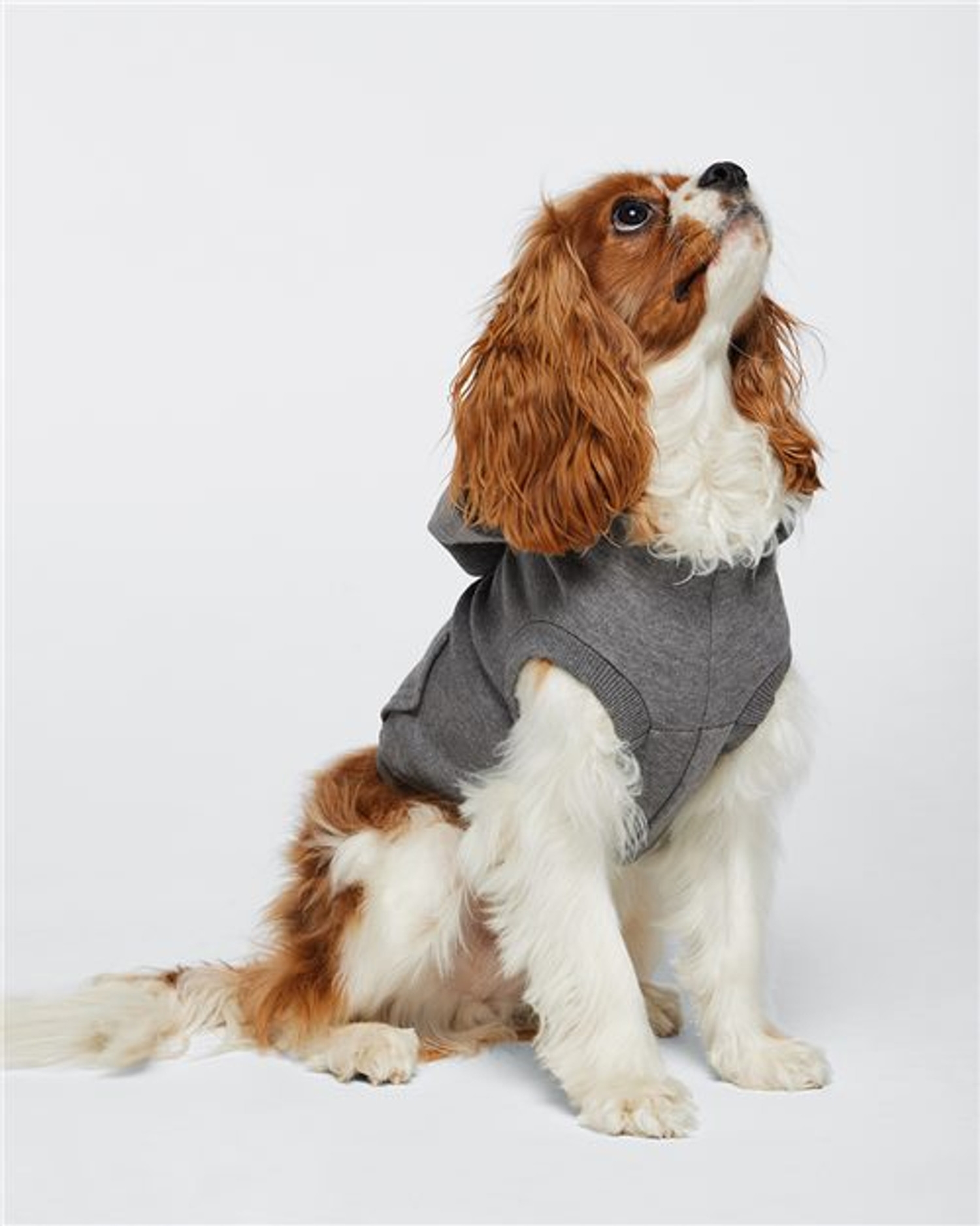 Doggie 3-End Fleece Hoodie [3926]