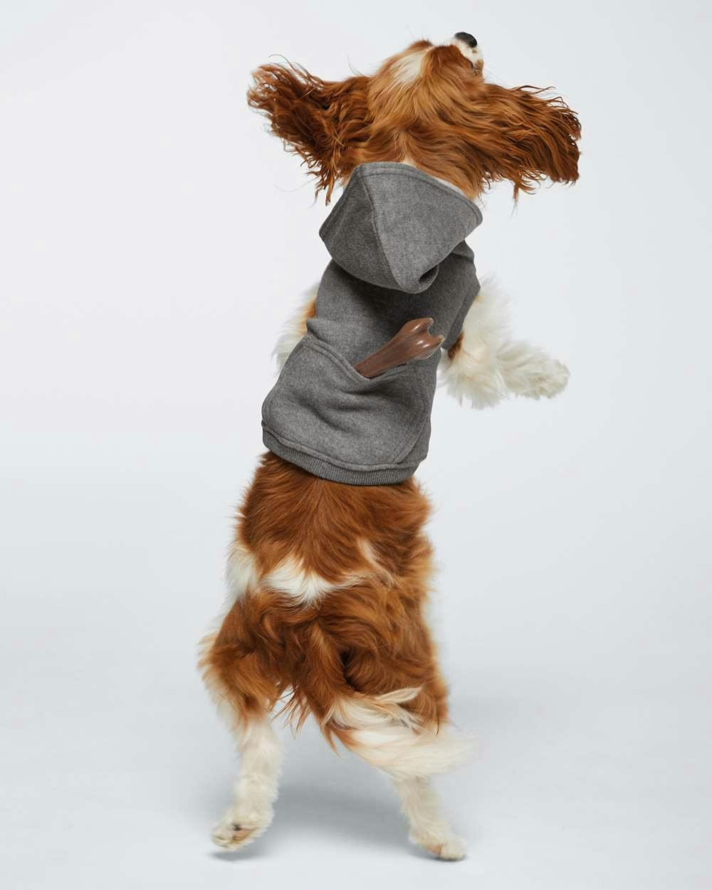 Doggie 3-End Fleece Hoodie [3926]