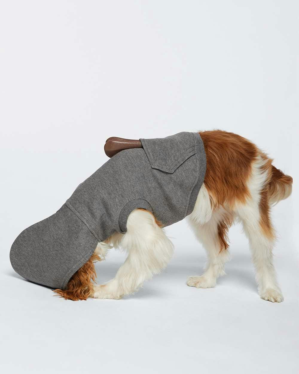 Doggie 3-End Fleece Hoodie [3926]